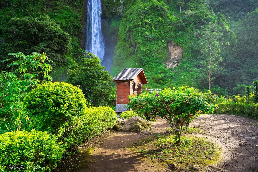 Air terjun Curug Citambur dikelilingi tanaman hijau