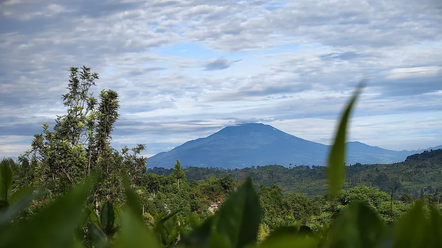Lanskap Gunung Gede dari lereng Cianjur